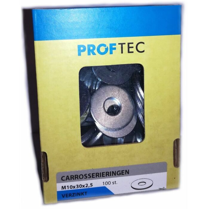 Proftec carrosseriering VZ DIN9021 M10 (100)